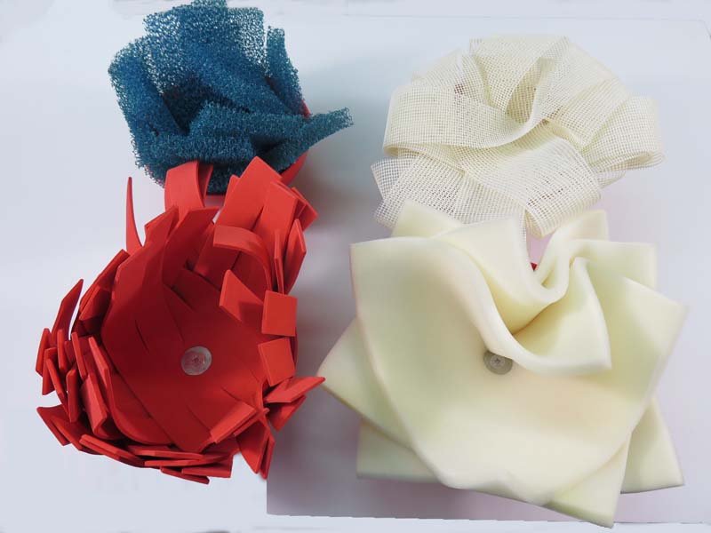 Giant Palm Painter (4)