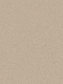 AS C/FIX OPTIMUM BD 16x20 SOFT UMB