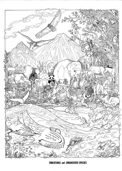 COOL ART DOODLE POSTER THREATENED & ENDA