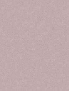 AS C/FIX OPTIMUM BD 16x20 ROSE GRE