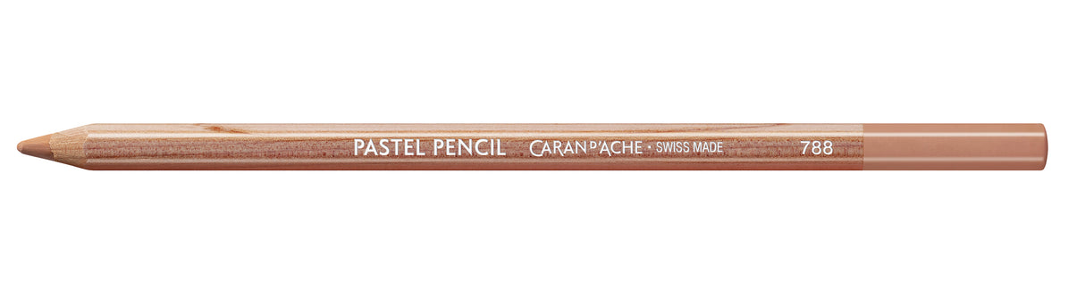 C'D PASTEL PENCIL WARM EARTH 5% (3)
