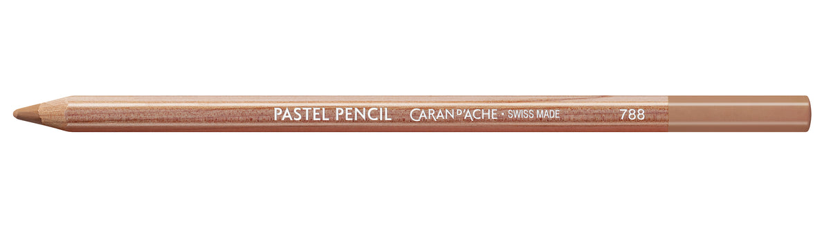 C'D PASTEL PENCIL WARM EARTH 40% (3)