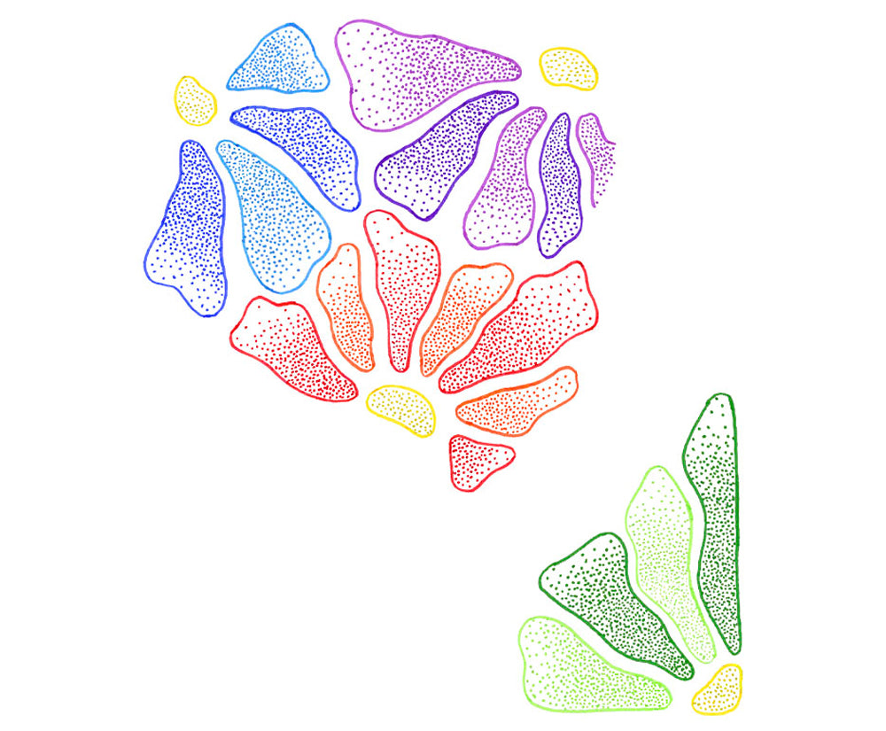 JOVI WASHABLE FELT-TIP PEN FINE 24s