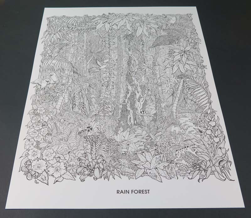 COOL ART DOODLE POSTER RAINFOREST