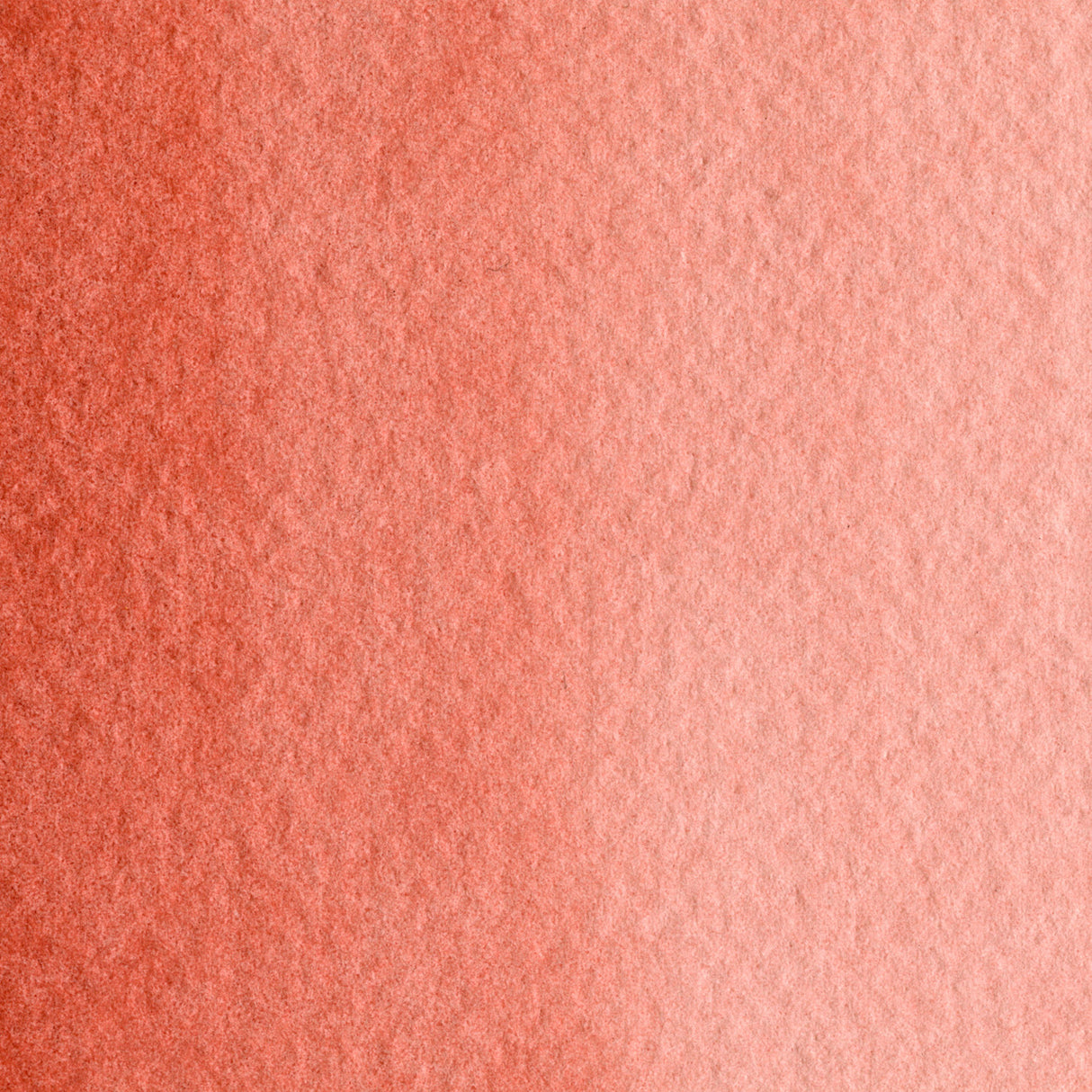 Maimeri Blu 12ml Brown Madder (Alizarin)