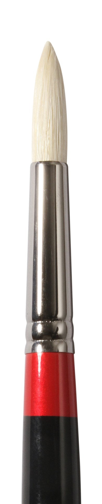 GEORGIAN S24 ROUND #8