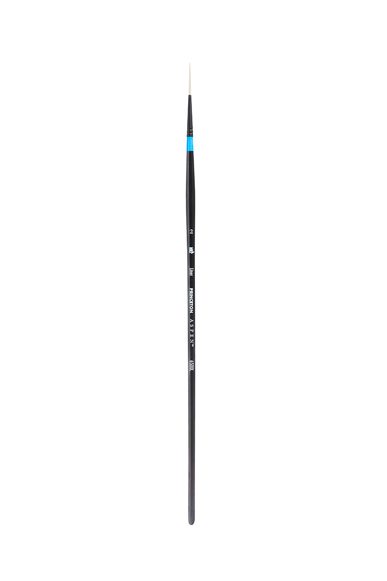 Princeton Aspen Liner 2
