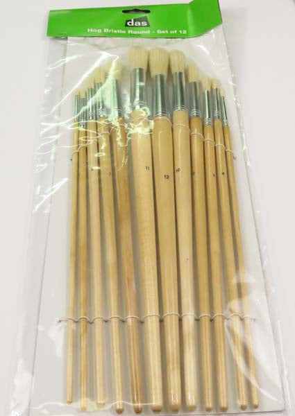 DAS 582 HOG BRISTLE ROUND - Set of 12