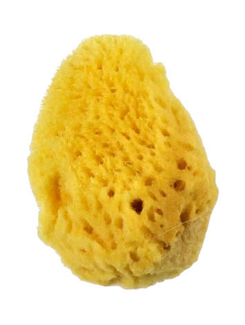 ROYAL 2001 SML SILK SPONGE