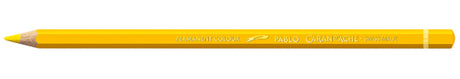 PABLO YELLOW (3)