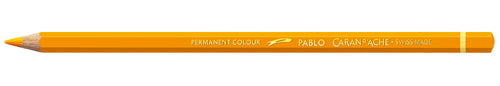 PABLO GOLDEN YELLOW (3)