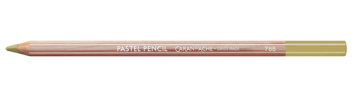 C'D PASTEL PENCIL BROWN OLIVE 50% (3)
