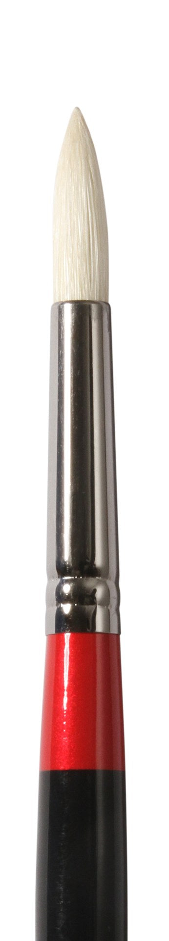 GEORGIAN S24 ROUND #6
