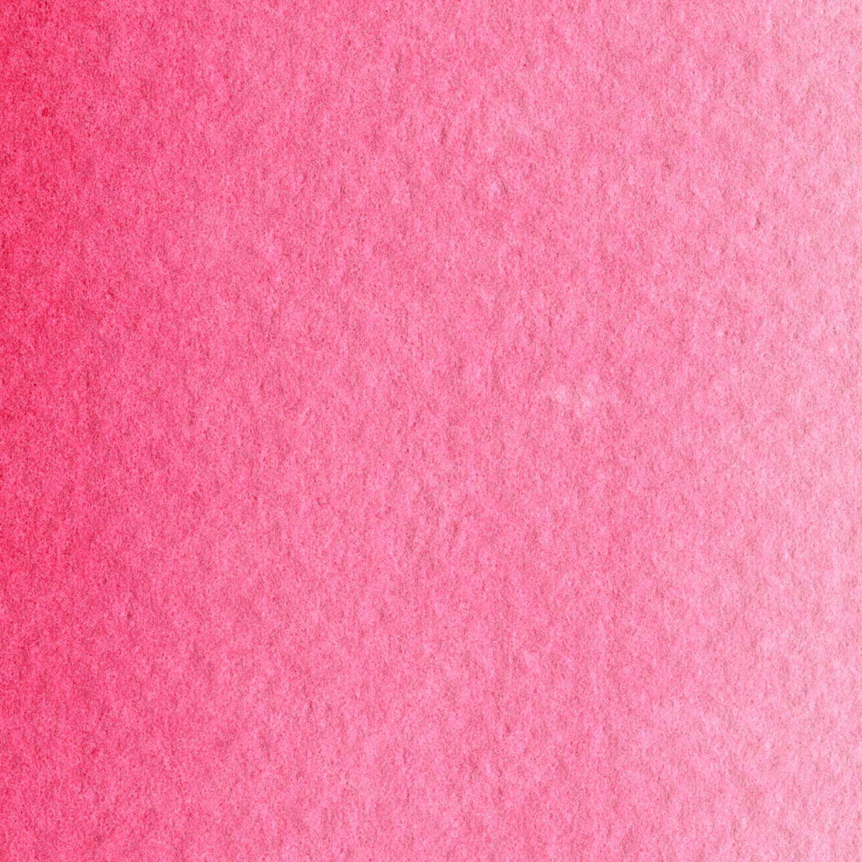 Maimeri Blu 12ml Rose Lake